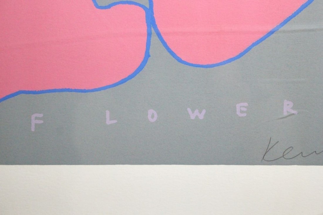 Australia Ken Done FRUIT FLOWER Large Silkscreen Print Signed 52/ 300 Pop Art - 7