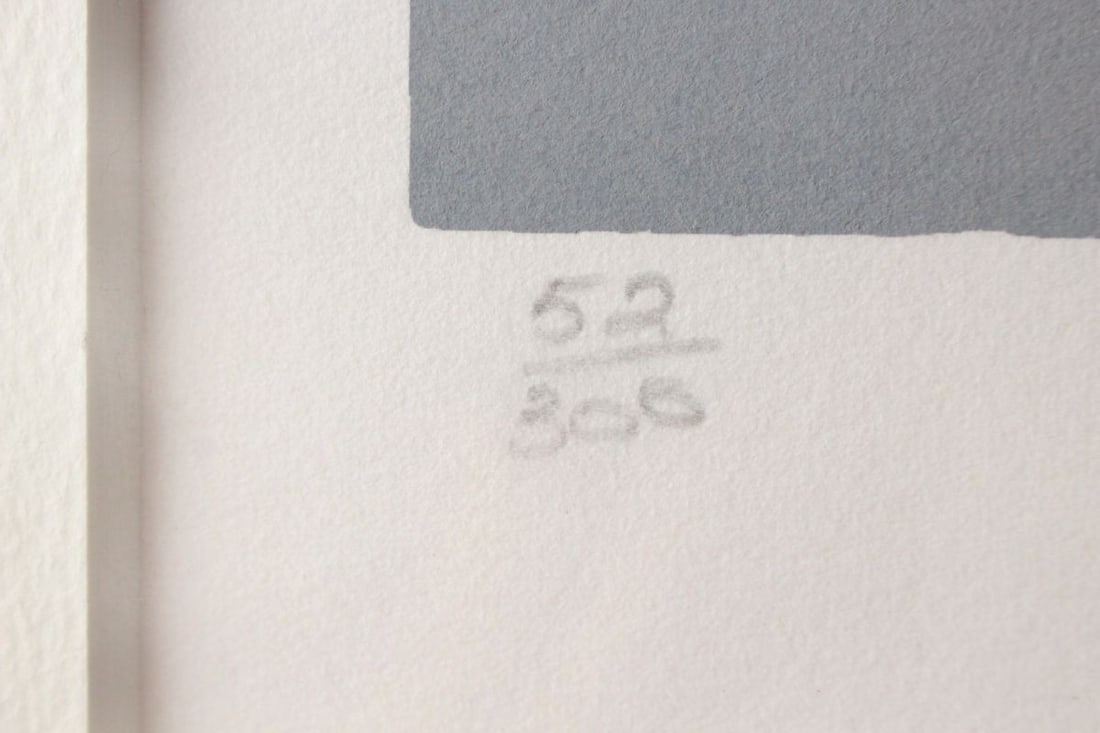 Australia Ken Done FRUIT FLOWER Large Silkscreen Print Signed 52/ 300 Pop Art - 8