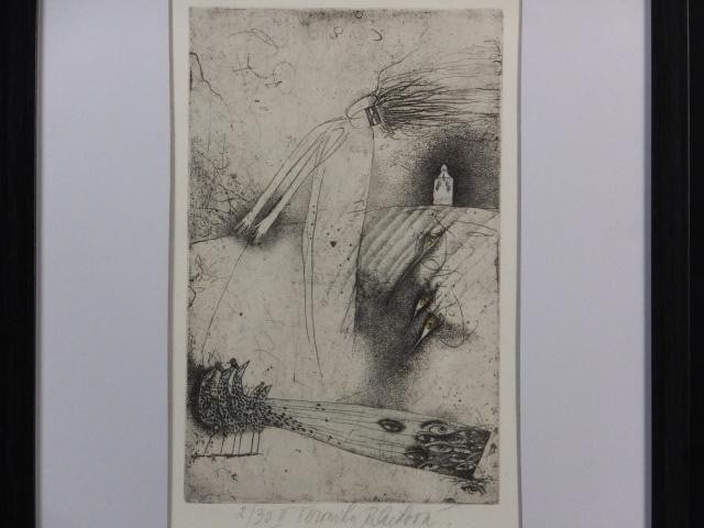 Art Veronika Paleckova "Peacock and Figure" Signed Etching Limited 30 Framed (1 of 8)