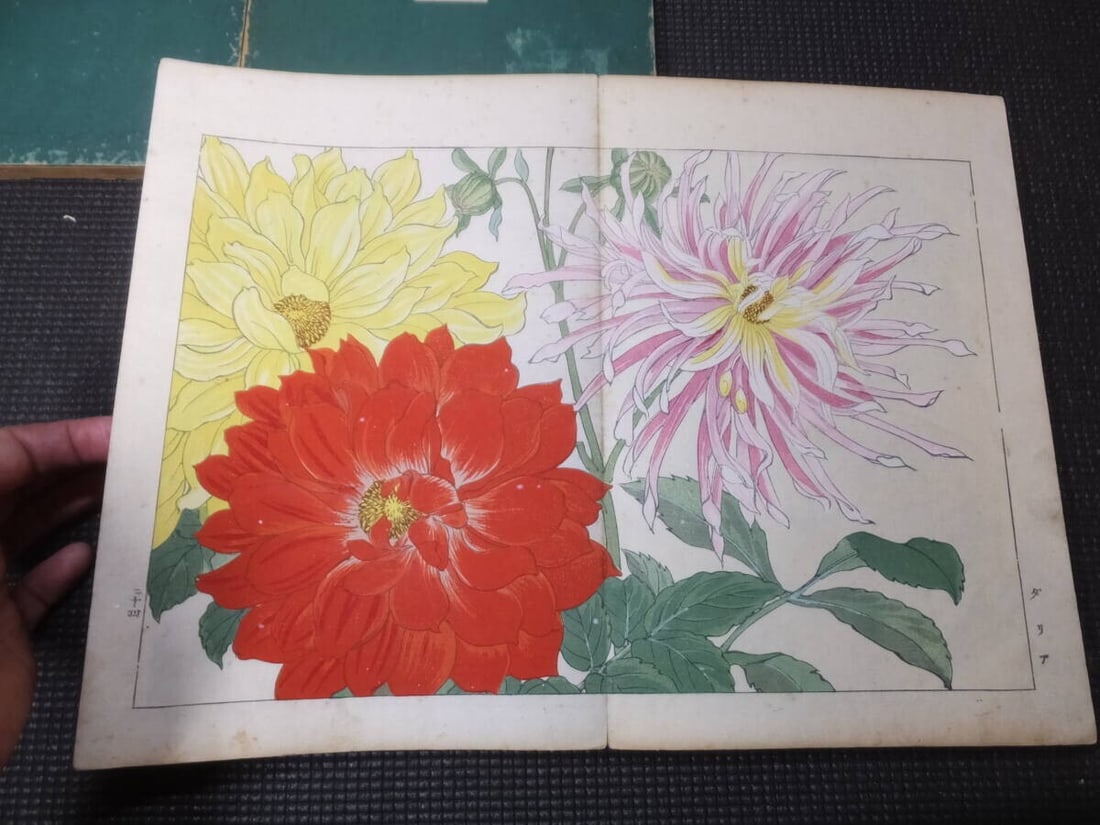 1917 - Western Flower and Plant Illustrated Book - 5 volumes - 125 woodblock prints - 10