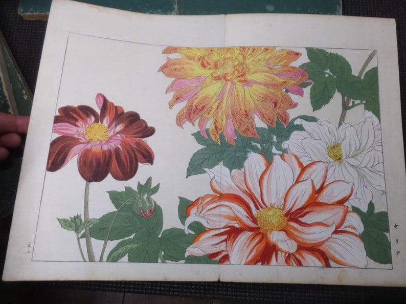 1917 - Western Flower and Plant Illustrated Book - 5 volumes - 125 woodblock prints - 17