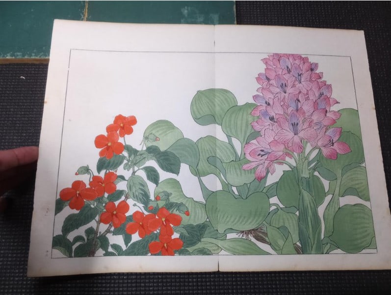 1917 - Western Flower and Plant Illustrated Book - 5 volumes - 125 woodblock prints - 18