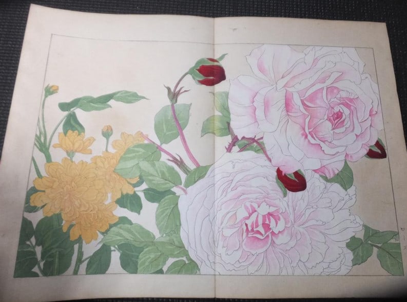 1917 - Western Flower and Plant Illustrated Book - 5 volumes - 125 woodblock prints - 19