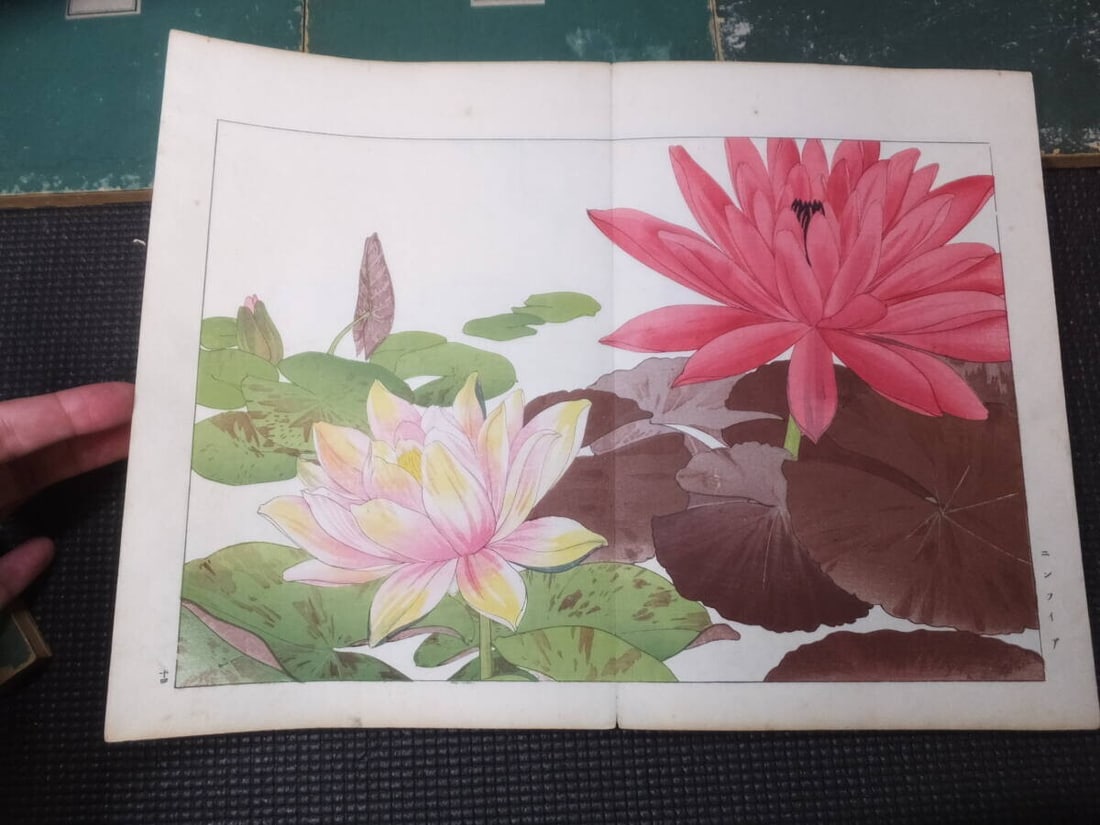 1917 - Western Flower and Plant Illustrated Book - 5 volumes - 125 woodblock prints - 2