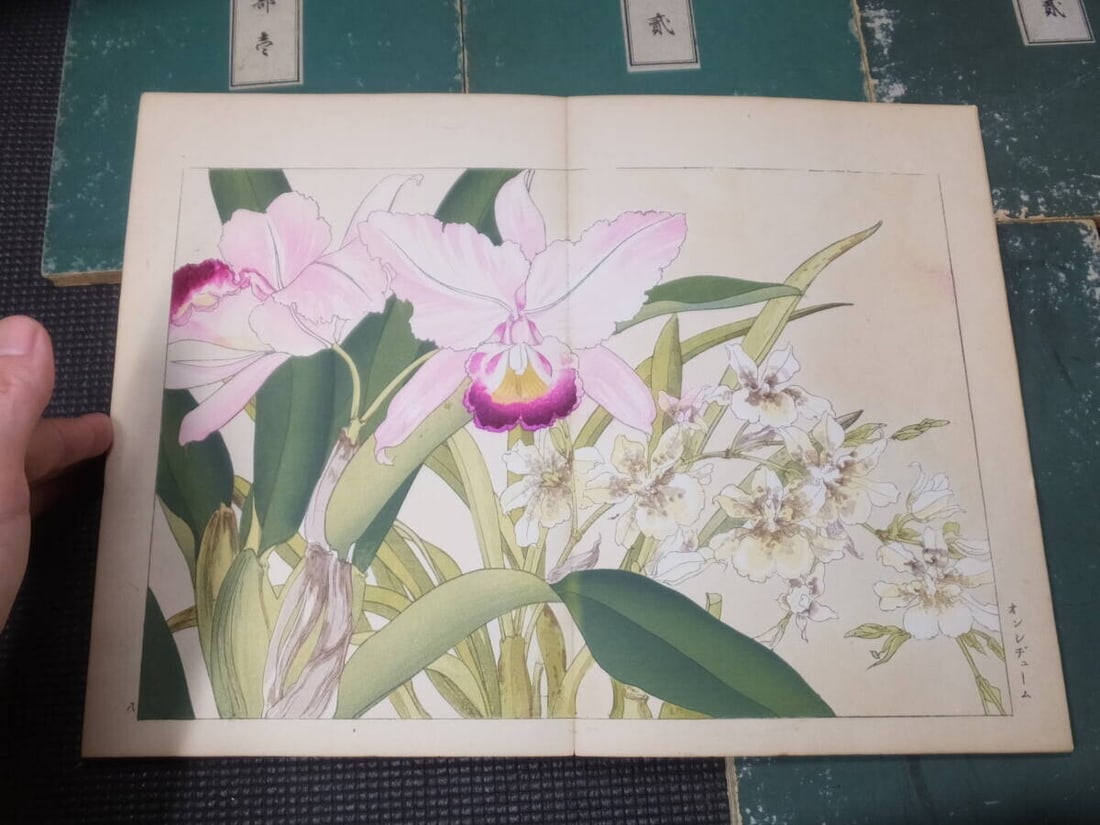 1917 - Western Flower and Plant Illustrated Book - 5 volumes - 125 woodblock prints - 5