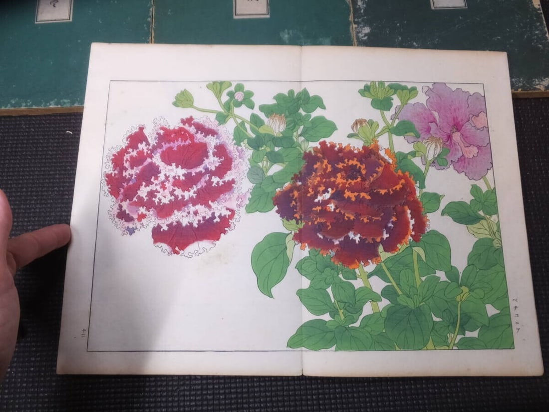 1917 - Western Flower and Plant Illustrated Book - 5 volumes - 125 woodblock prints - 9