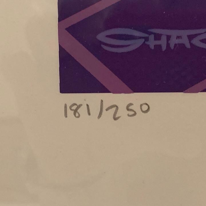 #005 Shag Silkscreen Poster Edition Autographed - 5
