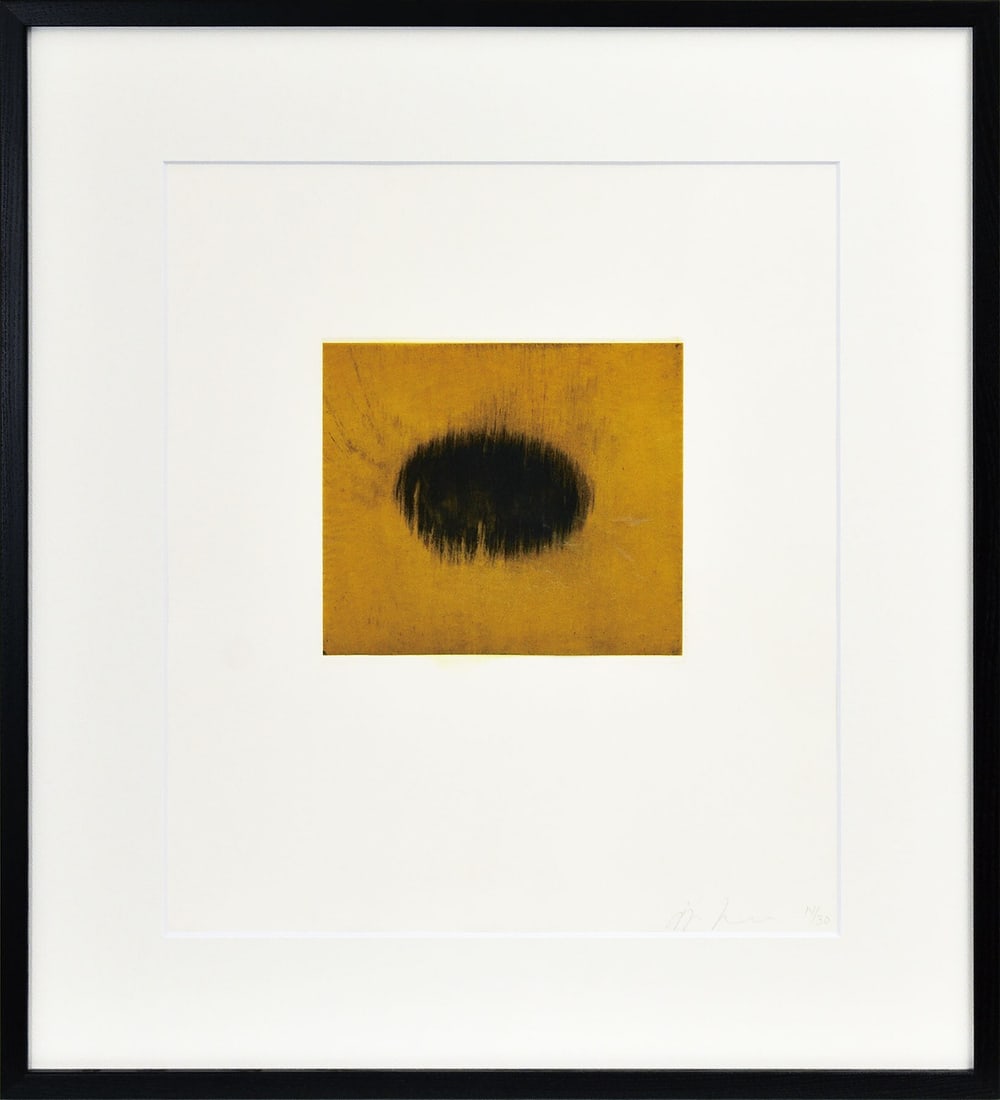 Framed Anish Kapoor "Blackness from Her Womb 7" 2000 Edition Autographed - 2