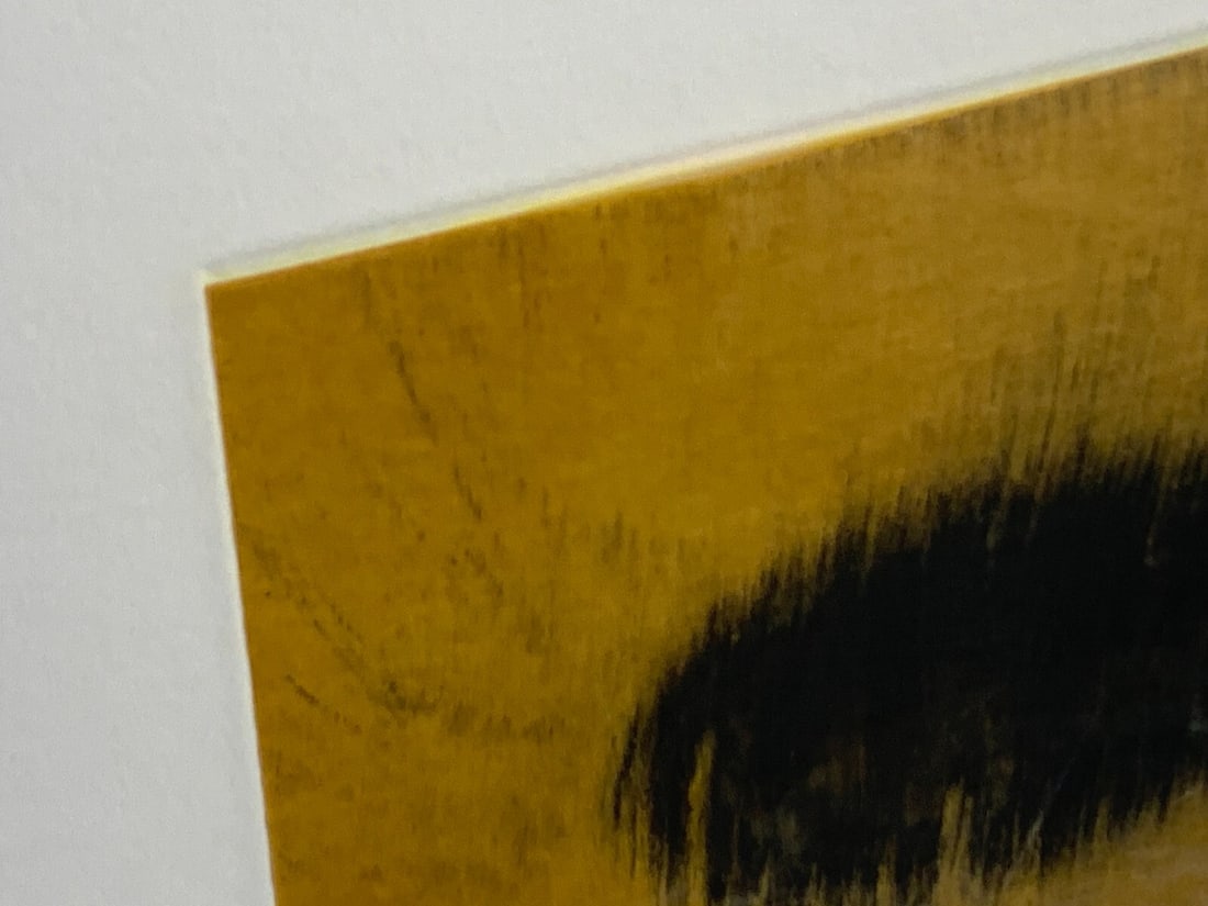 Framed Anish Kapoor "Blackness from Her Womb 7" 2000 Edition Autographed - 4