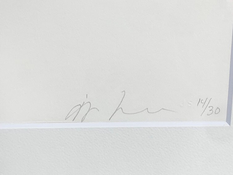 Framed Anish Kapoor "Blackness from Her Womb 7" 2000 Edition Autographed - 5