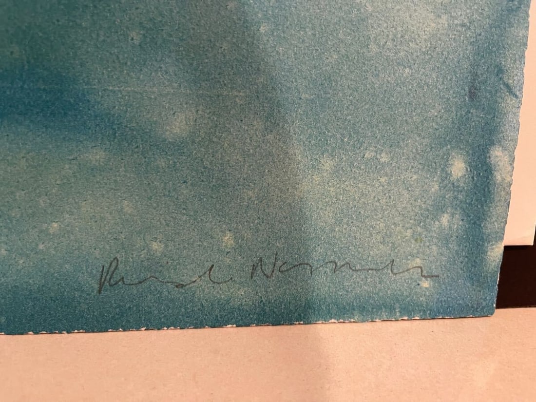 Limited to 40 - Rosalind Nashashibi Lithograph Edition - Signed - 6