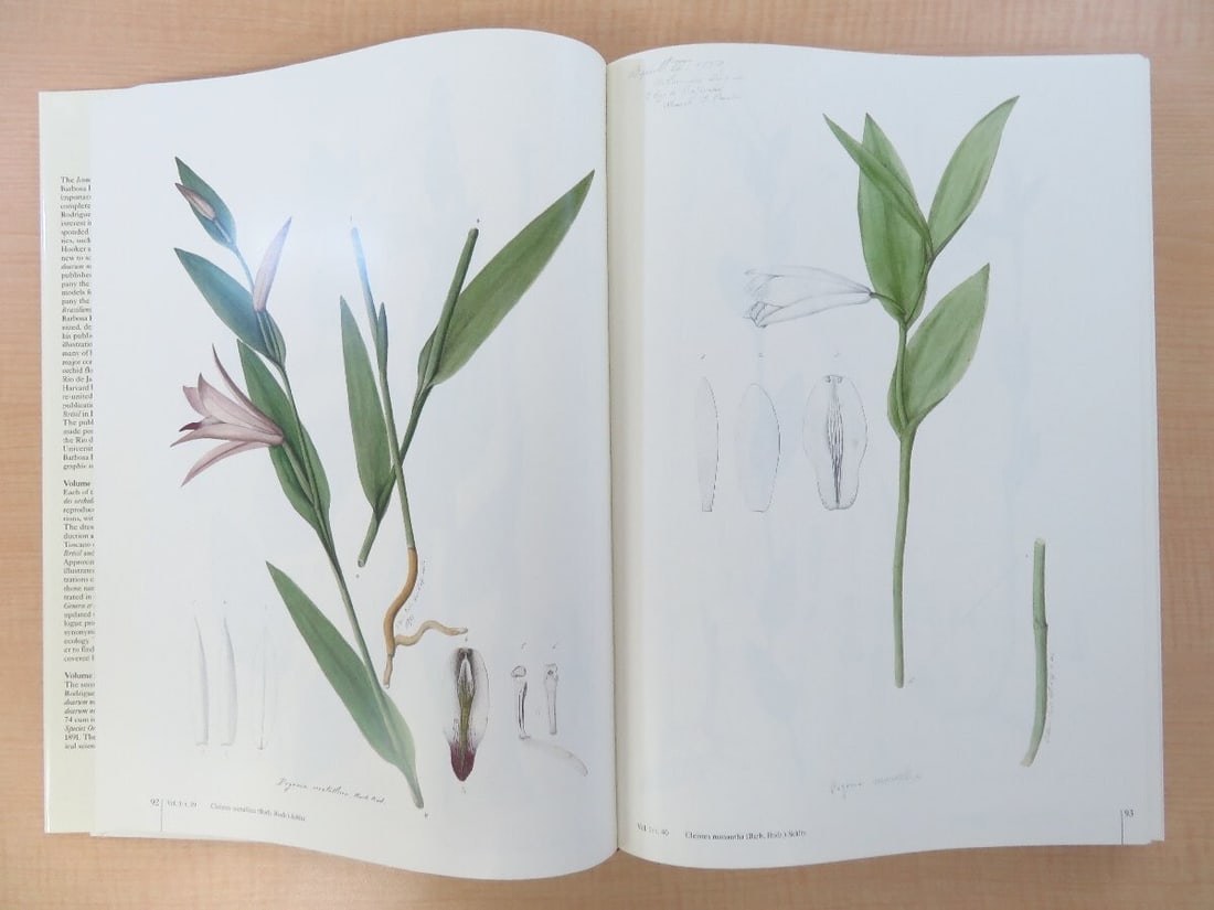 Vol Joao Barbosa Rodrigues: Iconographie des orchides du Brsil Complete in 2 - 5