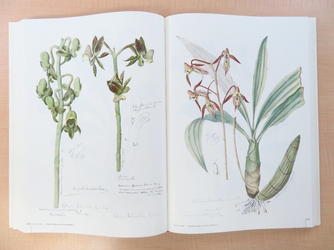 Vol Joao Barbosa Rodrigues: Iconographie des orchides du Brsil Complete in 2 - 6