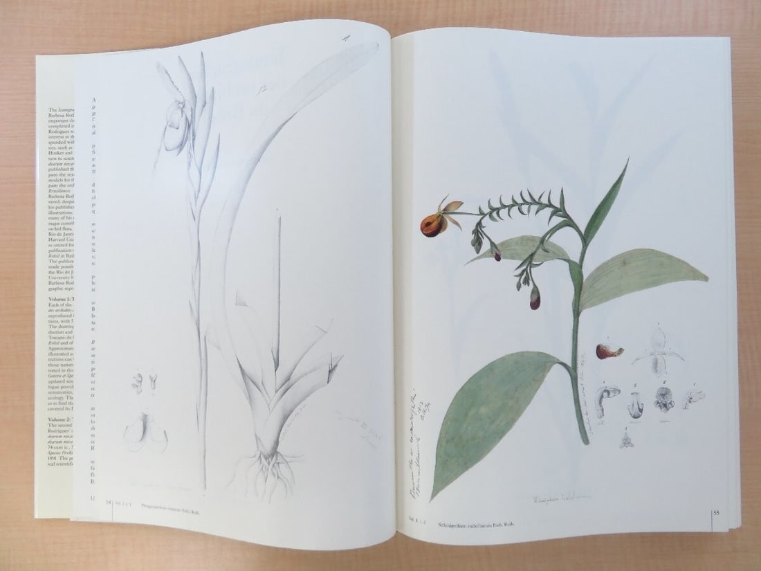 Vol Joao Barbosa Rodrigues: Iconographie des orchides du Brsil Complete in 2 - 8