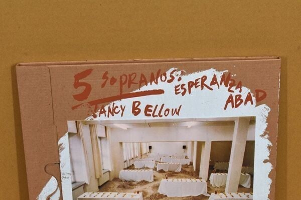 Slipcase Wolf Vostell FLUXUS OOERA 2 LP Set 1984 Multhipla Records Silk Screen - 4