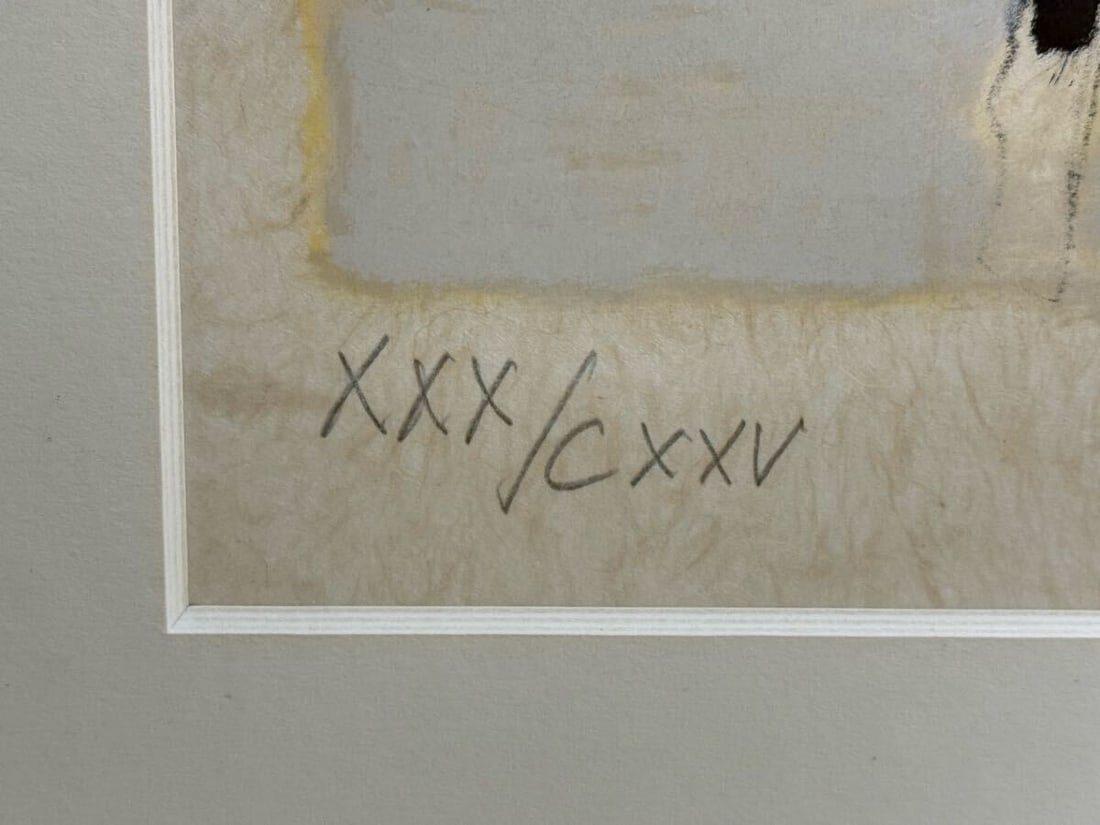 Framed Authentic Andre Brasilier Lithograph "Flanders Coast" Signed - 6