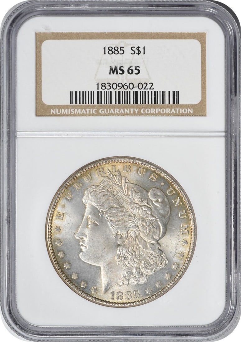 NGC 1885 Morgan Silver Dollar MS65 (1 of 1)