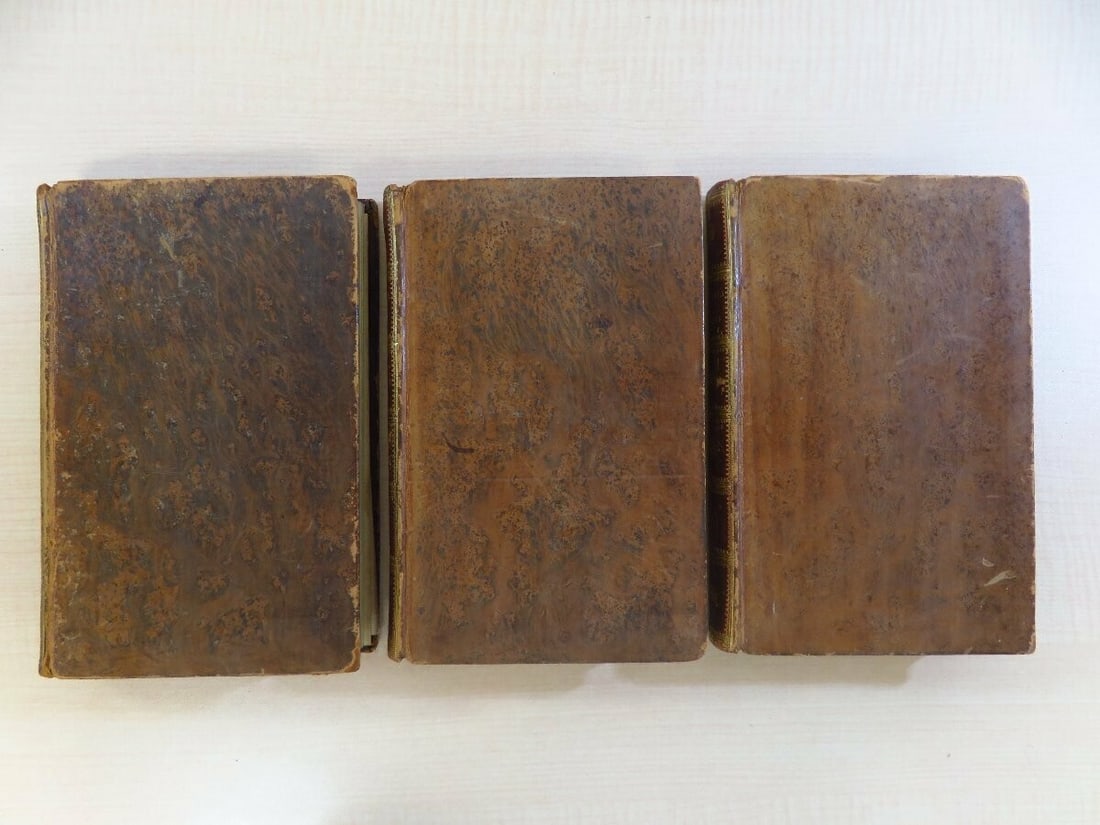 Travels in Upper and Lower Egypt 1799 London - Charles Nicolas Sigisbert Sonnini - 2