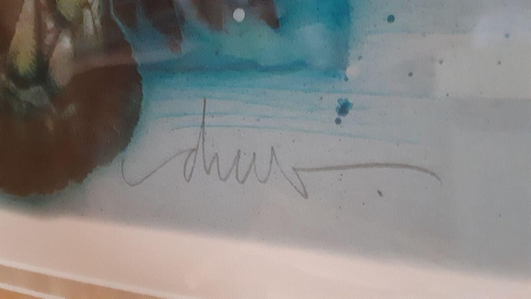 Framed Drew Struzan Lost World GICLEE Edition 30/ 250 Autographed - 7