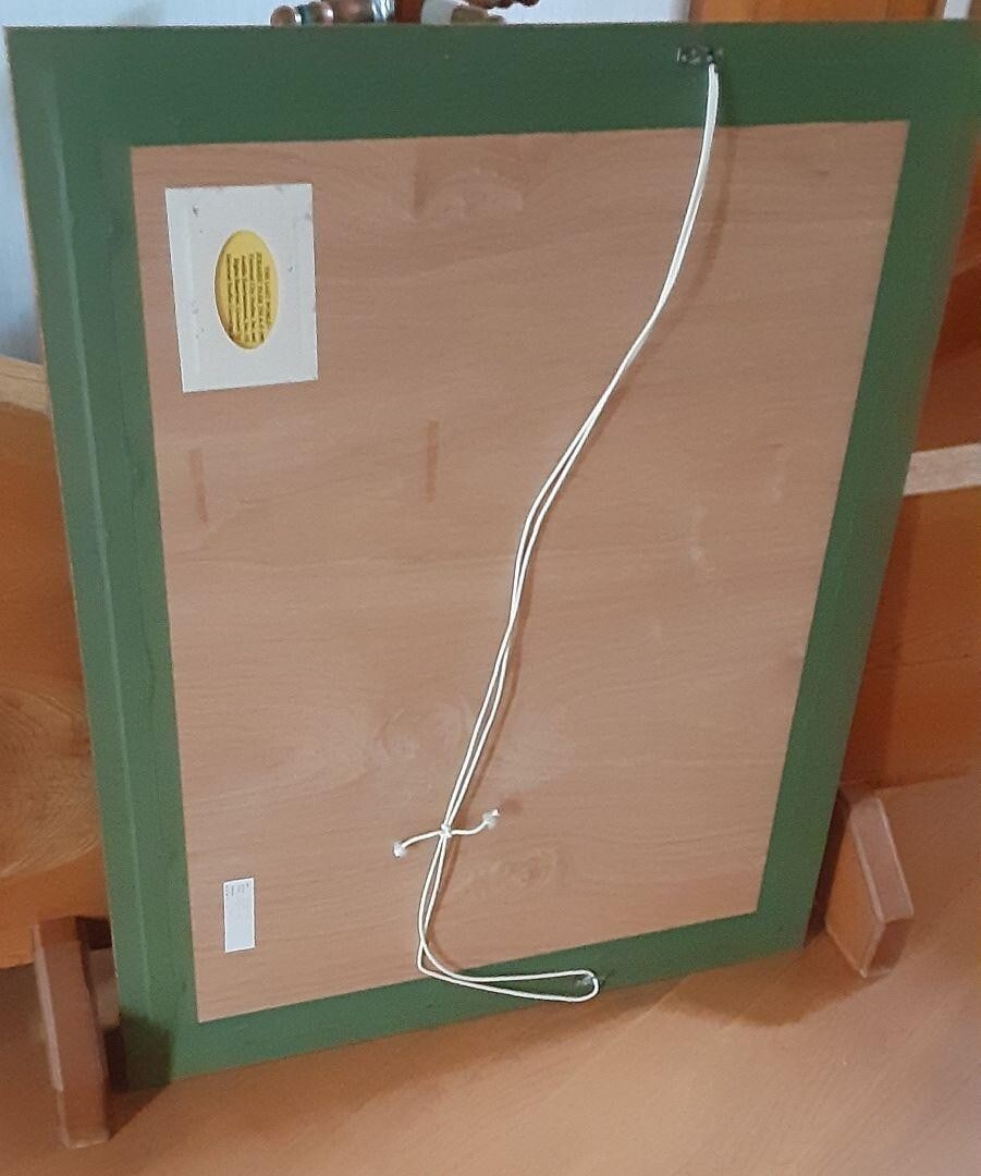 Framed Drew Struzan Lost World GICLEE Edition 30/ 250 Autographed - 9