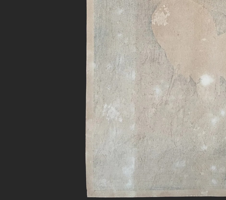 Vintage Koson Ohara Japanese Woodblock Print Shoson Meiji Ukiyo-e Heron Bird - 9