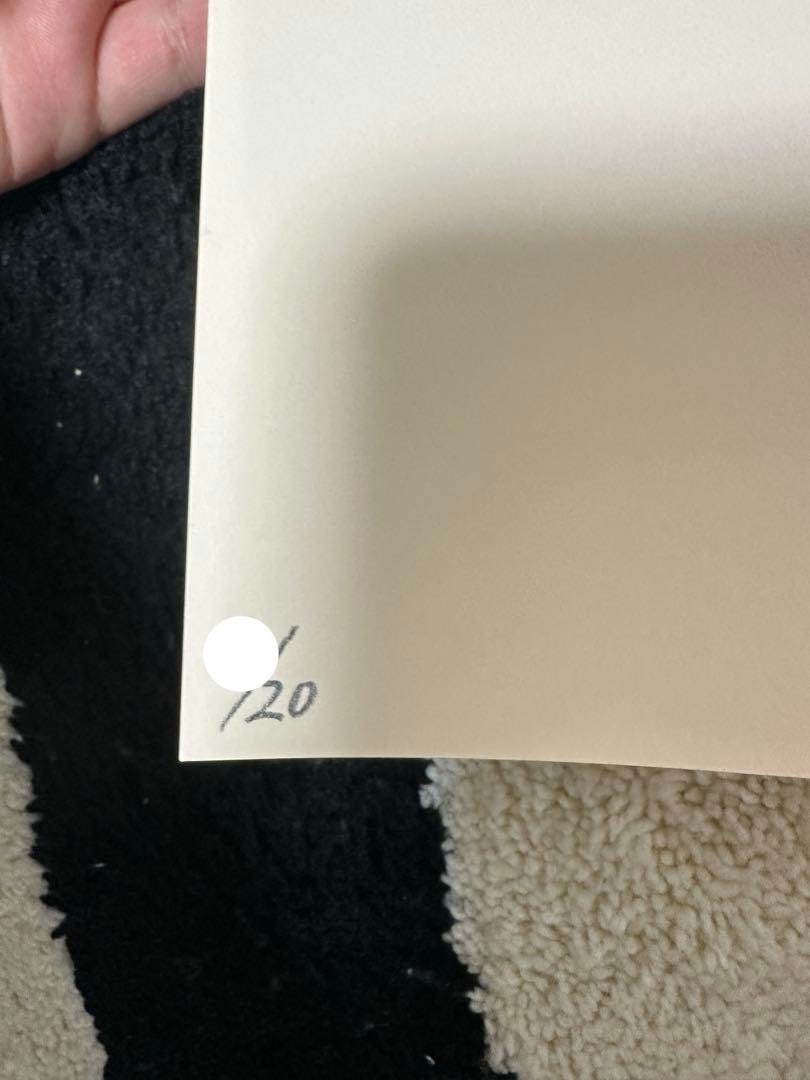 Autograph KOUSUKE SHIMIZU R. Brownie Silkscreen Edition with - 2