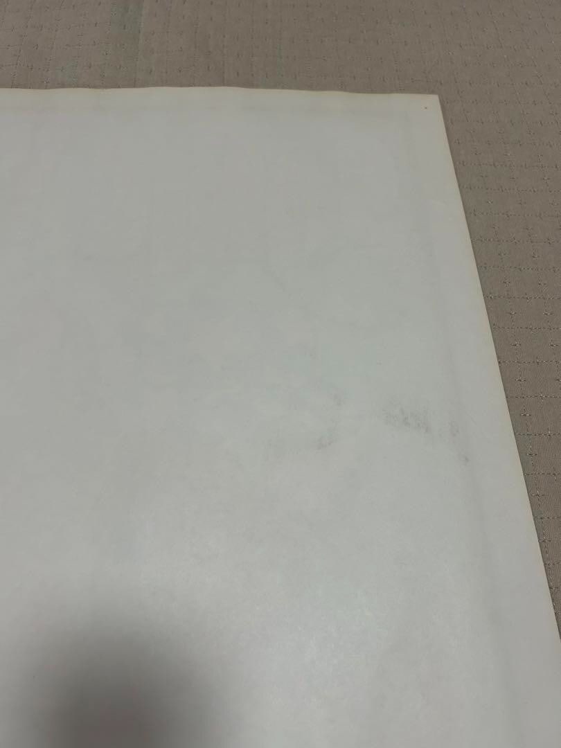 Original Frank Kozik Sonic Youth Silkscreen Poster Edition 300 Signed 1999 - 10