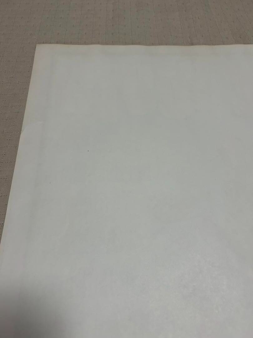 Original Frank Kozik Sonic Youth Silkscreen Poster Edition 300 Signed 1999 - 11