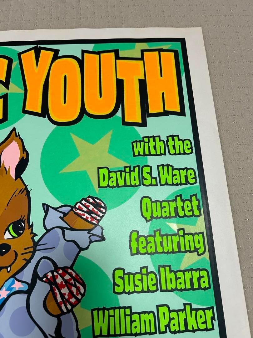 Original Frank Kozik Sonic Youth Silkscreen Poster Edition 300 Signed 1999 - 4