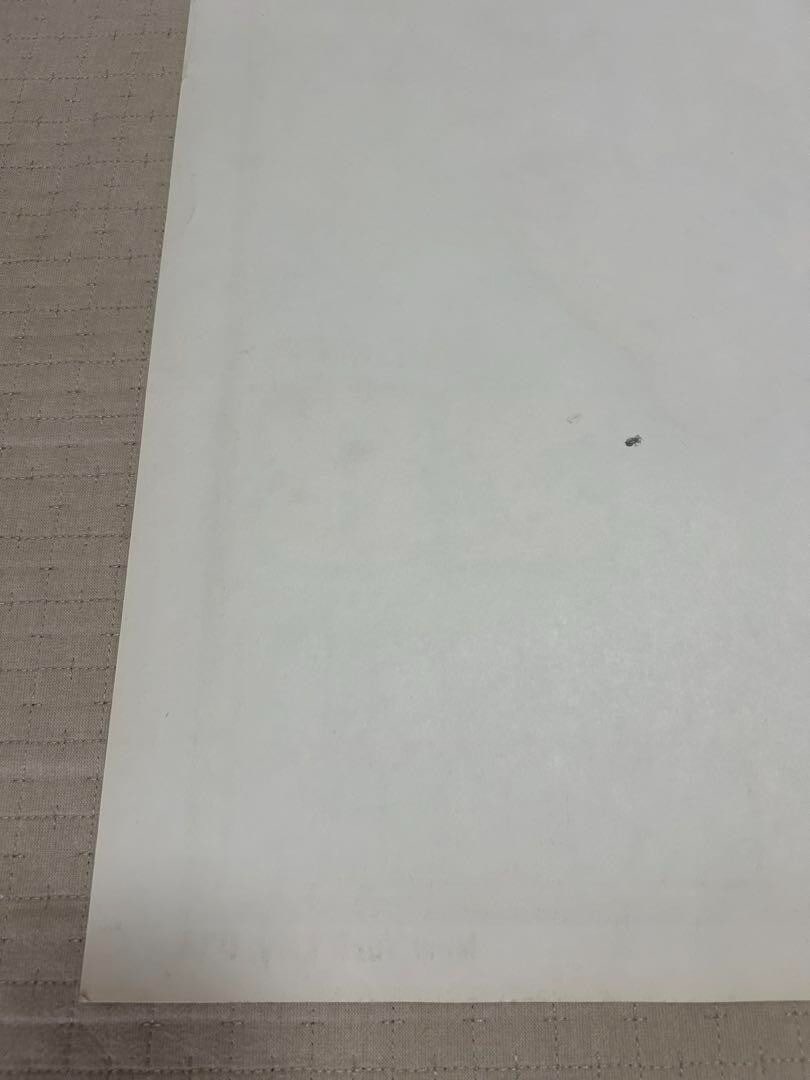 Original Frank Kozik Sonic Youth Silkscreen Poster Edition 300 Signed 1999 - 8