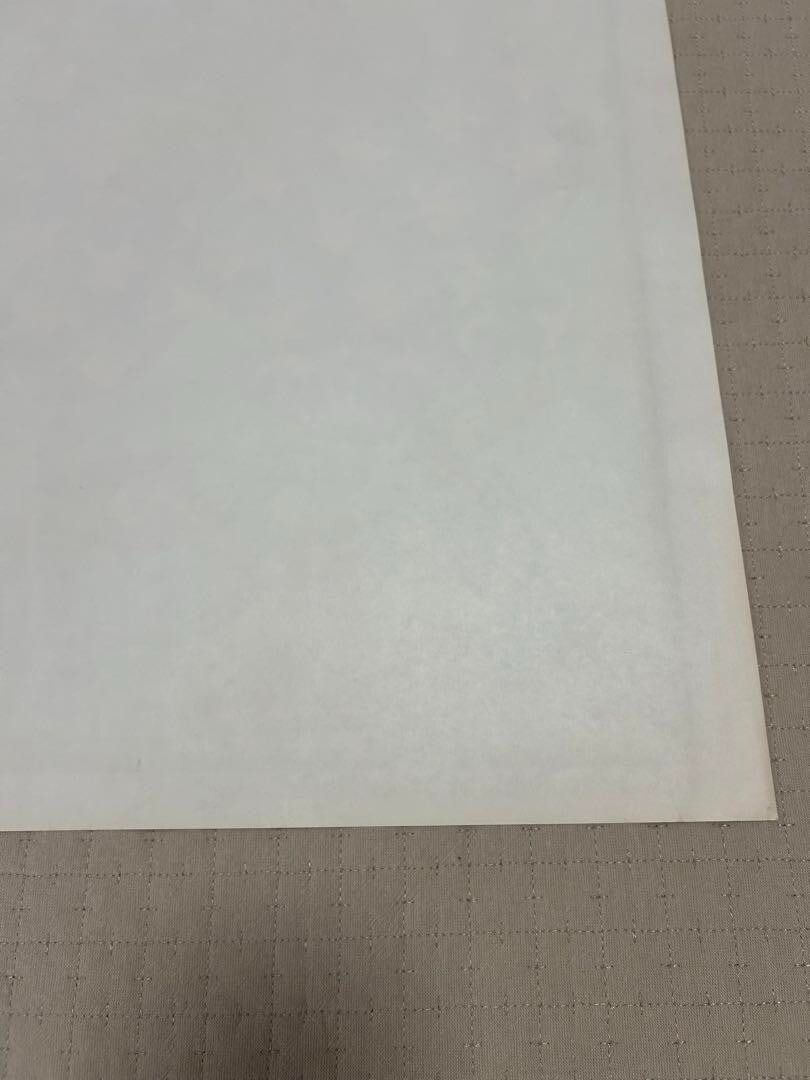 Original Frank Kozik Sonic Youth Silkscreen Poster Edition 300 Signed 1999 - 9