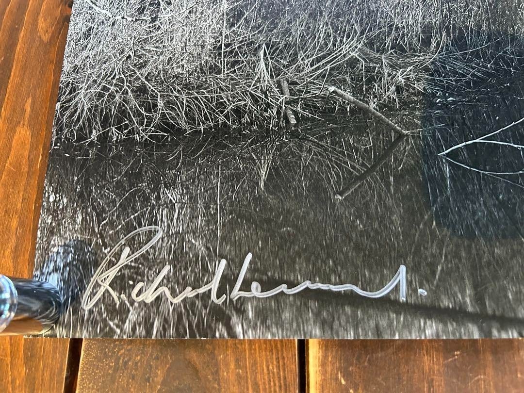 2013 Richard Learoyd "The Outside World" autographed exhibition poster - 2