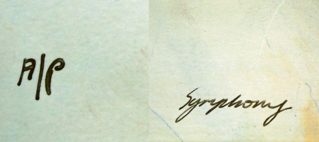 Framed Gary Benfield Symphony Artist Proof AP Signed Limited Edition Print w/ - 9