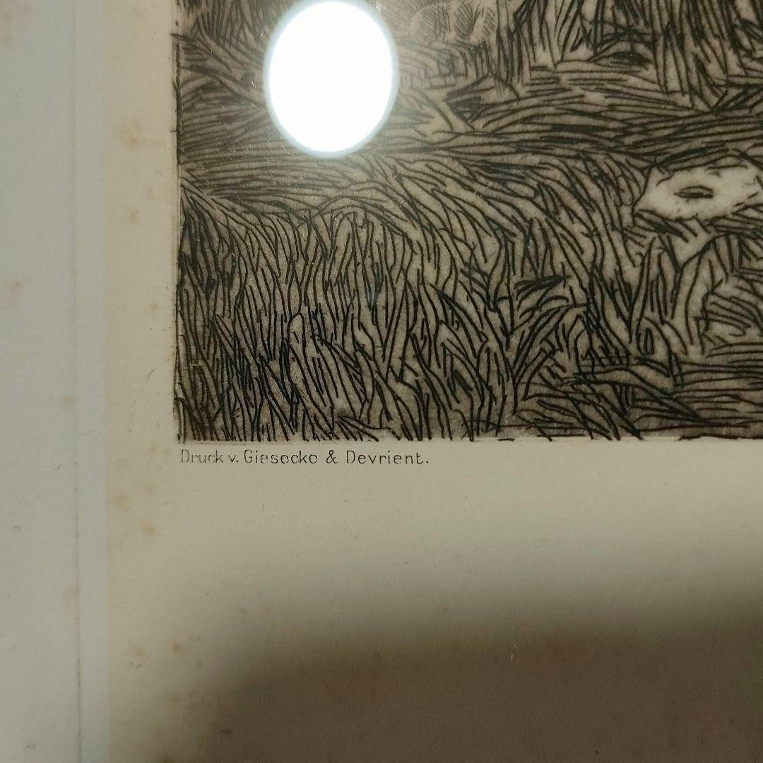 Framed Bruno Hroux VAE SOLIS No.4 Original Etching Nude Symbolist Art c.1900 - 7