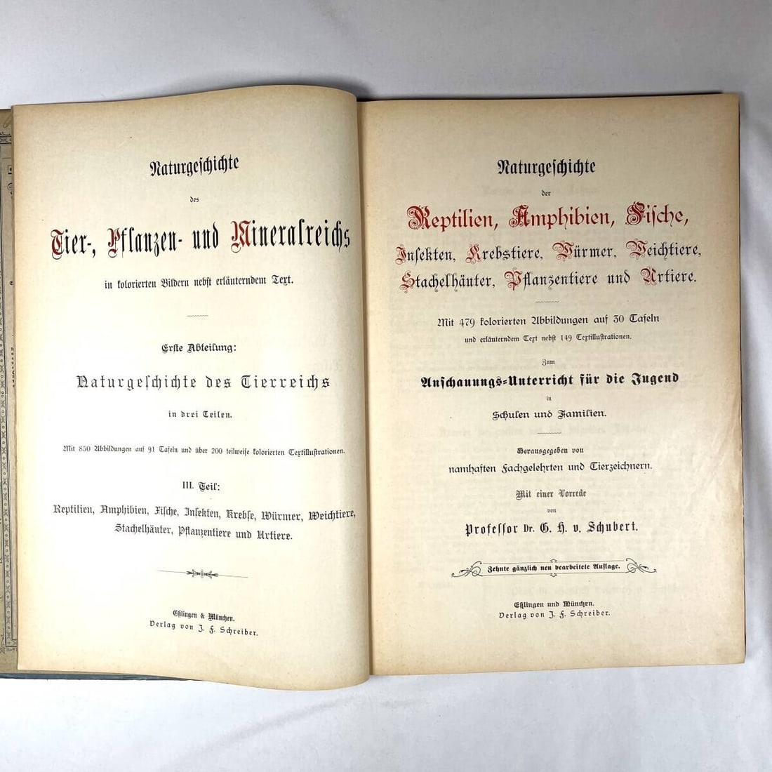 Insects - 1886 Natural History by Dr. G.H. v. Schubert - 1st Amphibians - Fish - 2