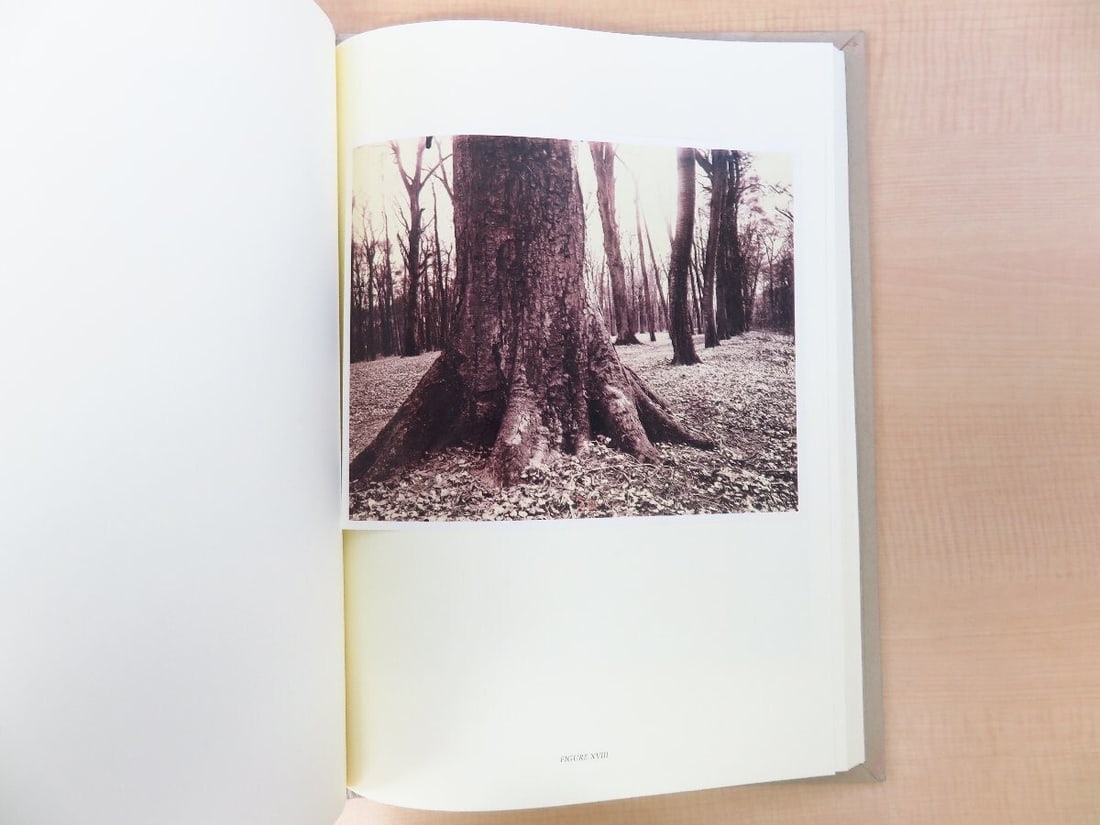 Photography Eugene Atget's TREES 2003 1st Edition Limited 982/ 1000 Large Format - 7