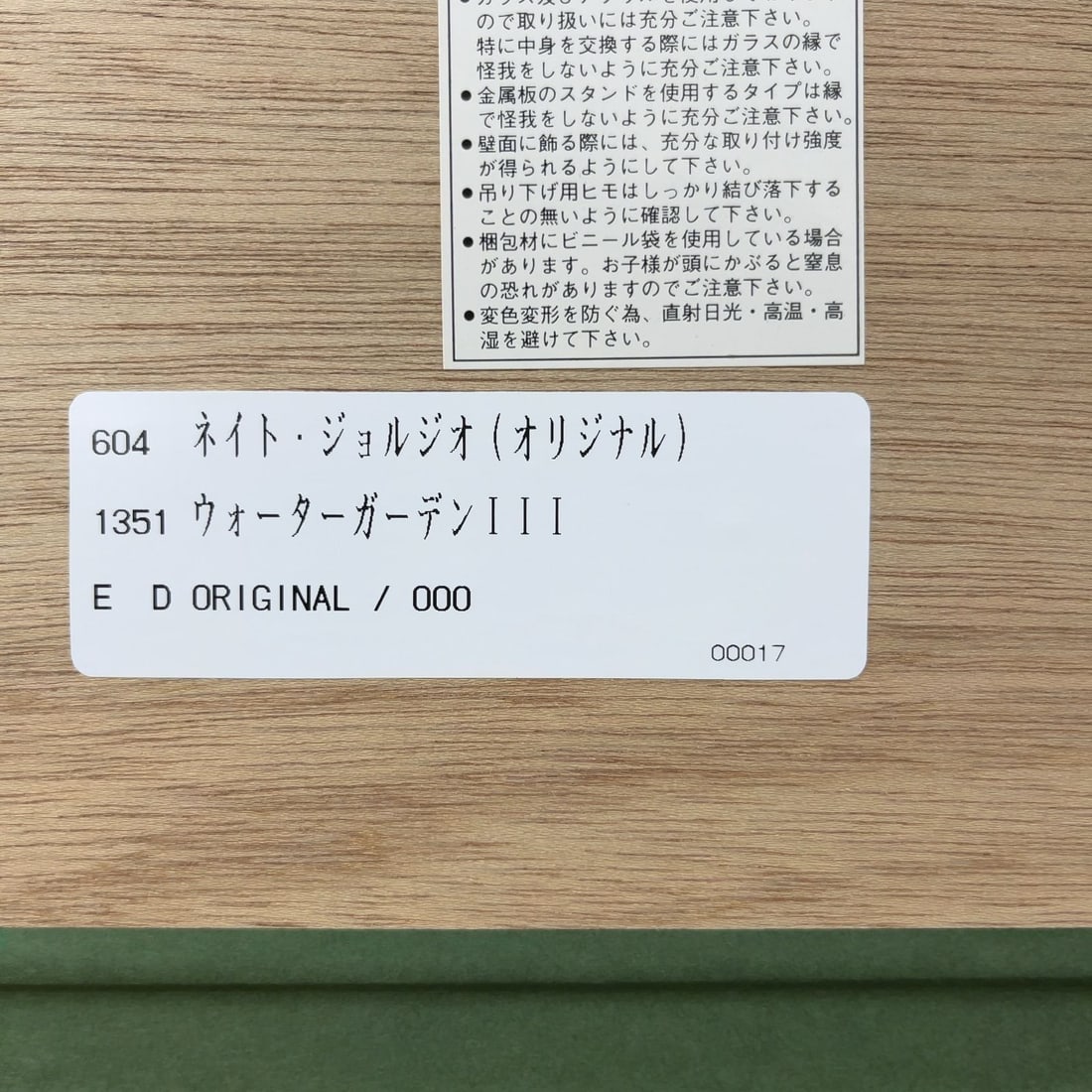 III Nate Giorgio (US) Original Acrylic Painting Signed & Inscribed Water Garden - 9