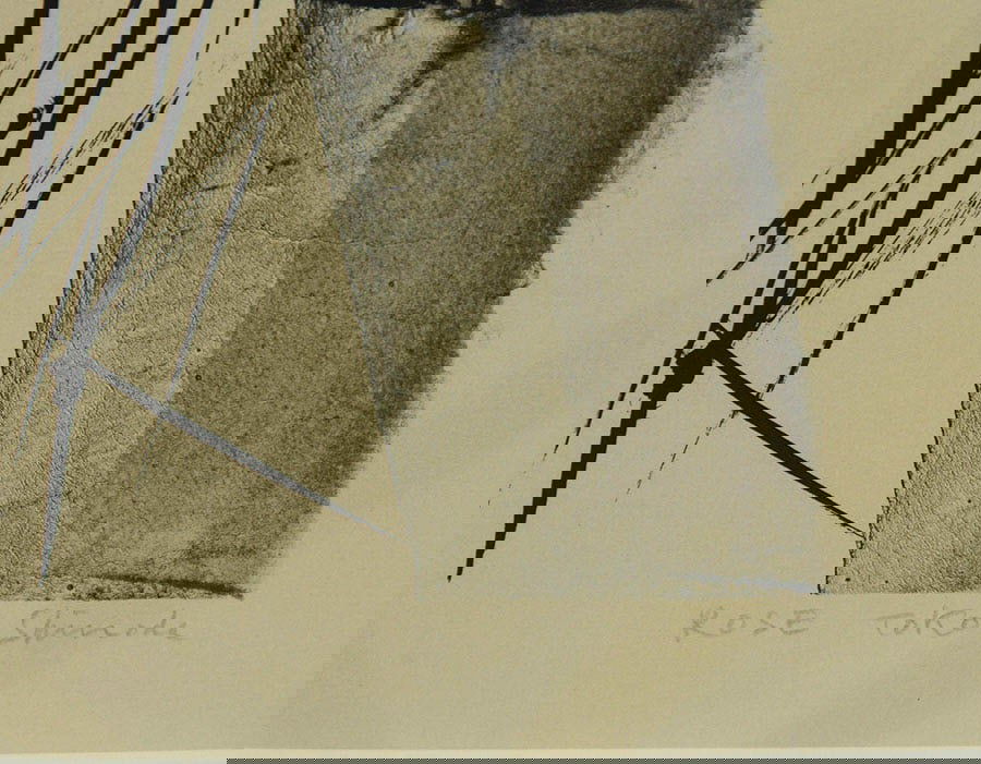 Art Toko Shinoda ROSE 1976 Original Lithograph Signed 29/ 35 Japanese Abstract - 6