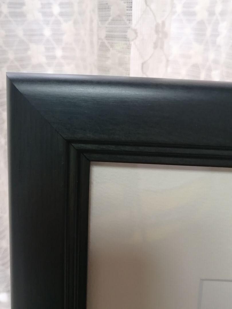 COA Osamu Tezuka Gicle Black Jack and Pinoko International Version Japan Signed - 7