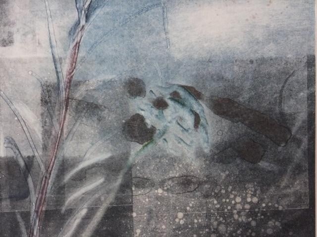 1984 Mary Frank (UK) Original Monoprint on wove Signed in pencil "FLOWERS II" - 5