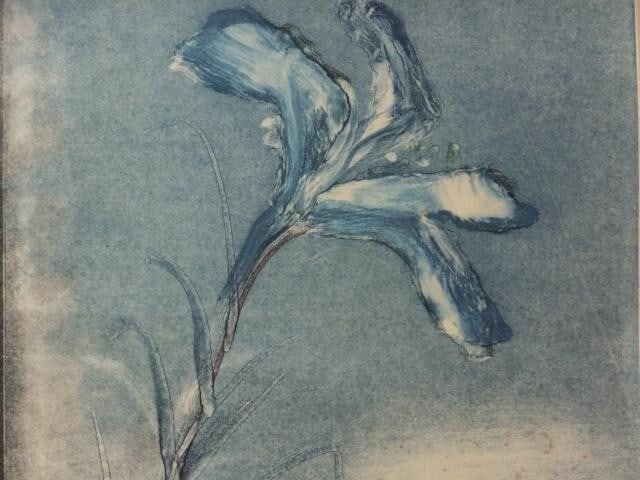 1984 Mary Frank (UK) Original Monoprint on wove Signed in pencil "FLOWERS II" - 6