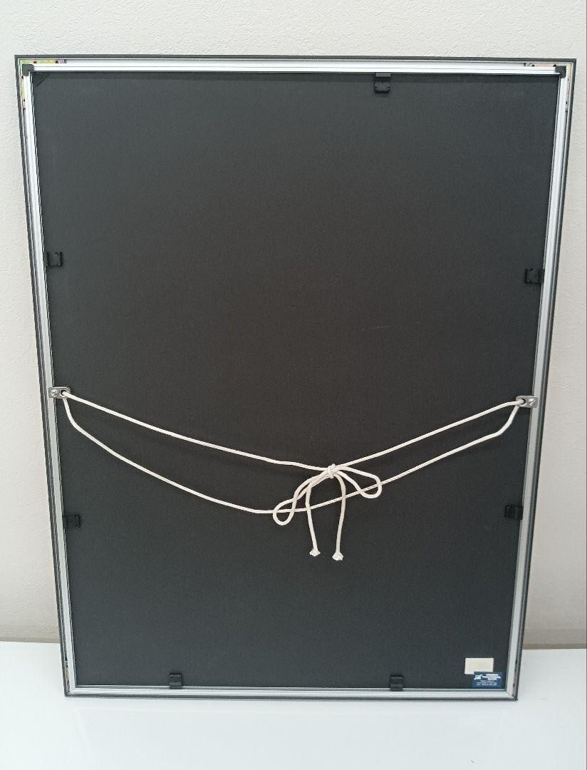 II Kim En Joong Signed Original Lithograph Print Framed ED225 Monde imaginaire - 10