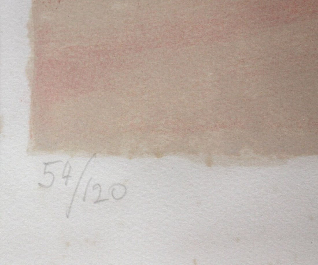 120 Andre Brasilier Original Lithograph "Circus" Signed Framed Limited edition - 6