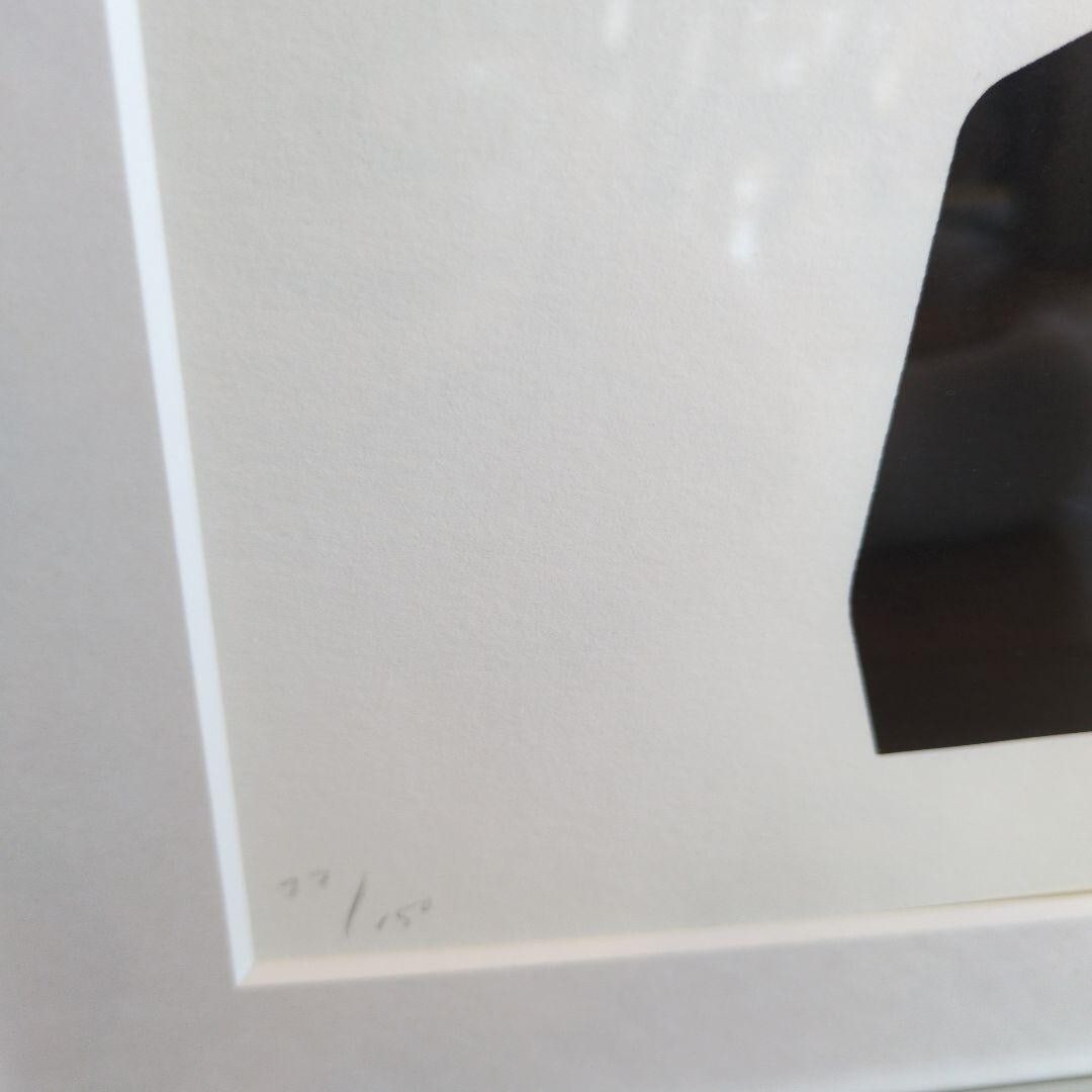 It's Mine - Cleon Peterson Original Silkscreen Art Print Signed Numbered Framed - 3