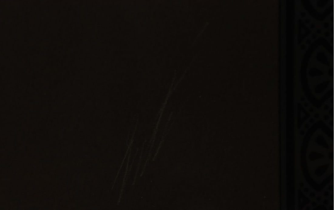 Only ERTE "Firebird" Silkscreen Edition 91/ 300/ Autograph Sheet - 10