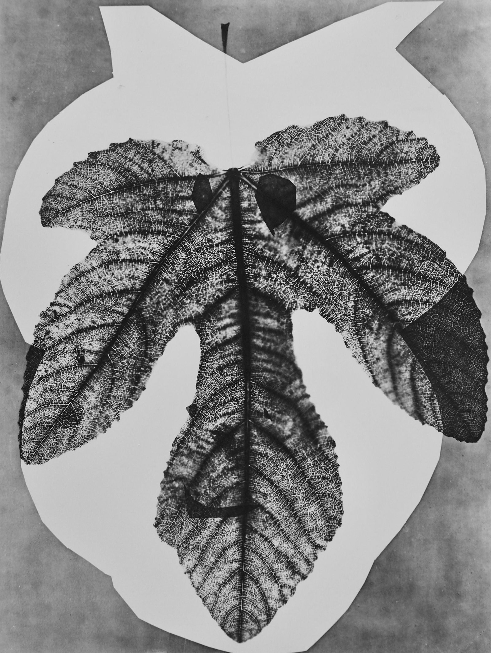 Lithograph - Pablo Picasso - Andr Villers - Midas (Cramer 115) - Diurnes - Dcoupages et: Lithograph - Pablo Picasso - Andr Villers - Midas (Cramer 115) - Diurnes - Dcoupages et Photographies This listing features Lithograph - Pablo Picasso - Andr Villers - Midas (Cramer 115) - Diurnes - D