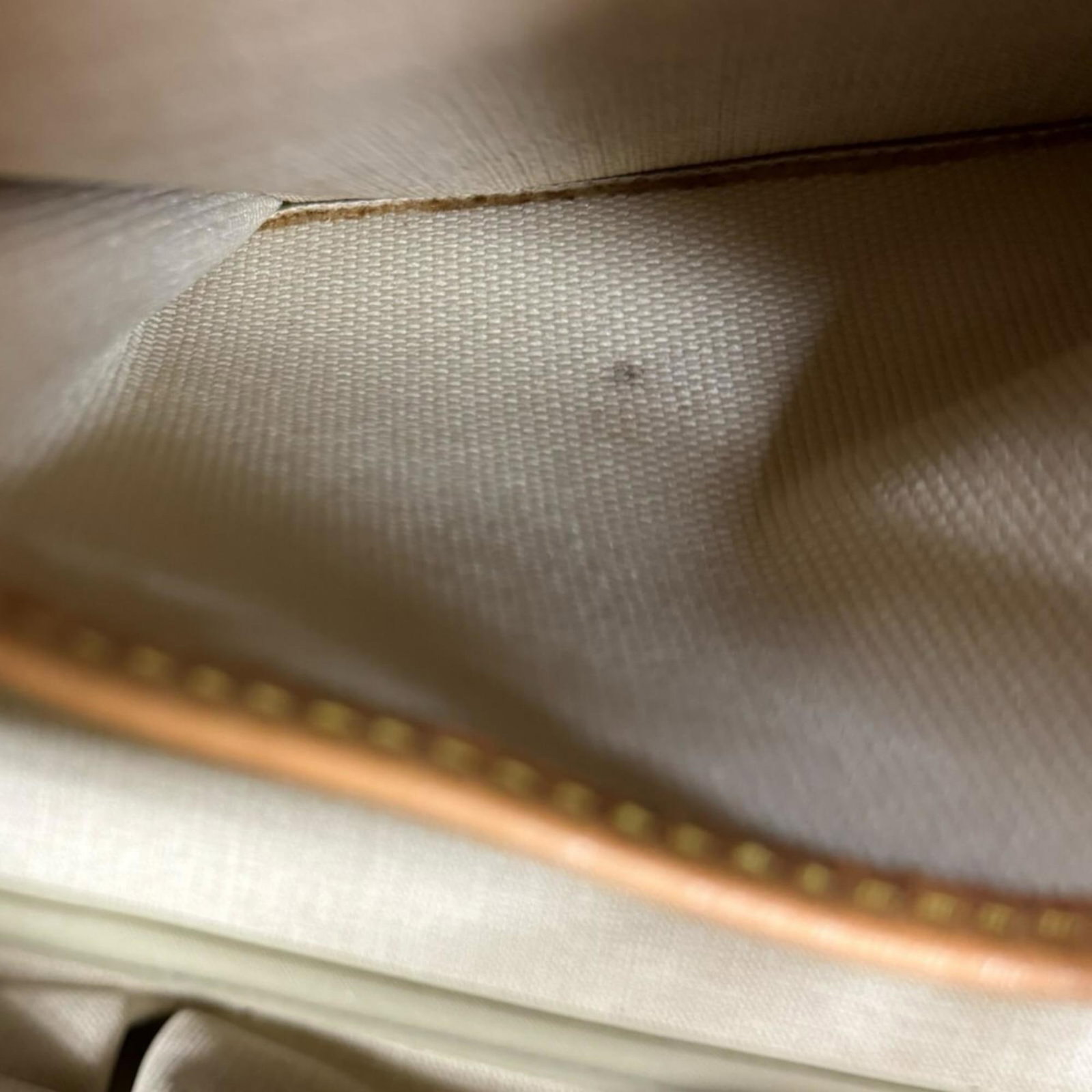 Monogram Louis Vuitton Handbag - 11