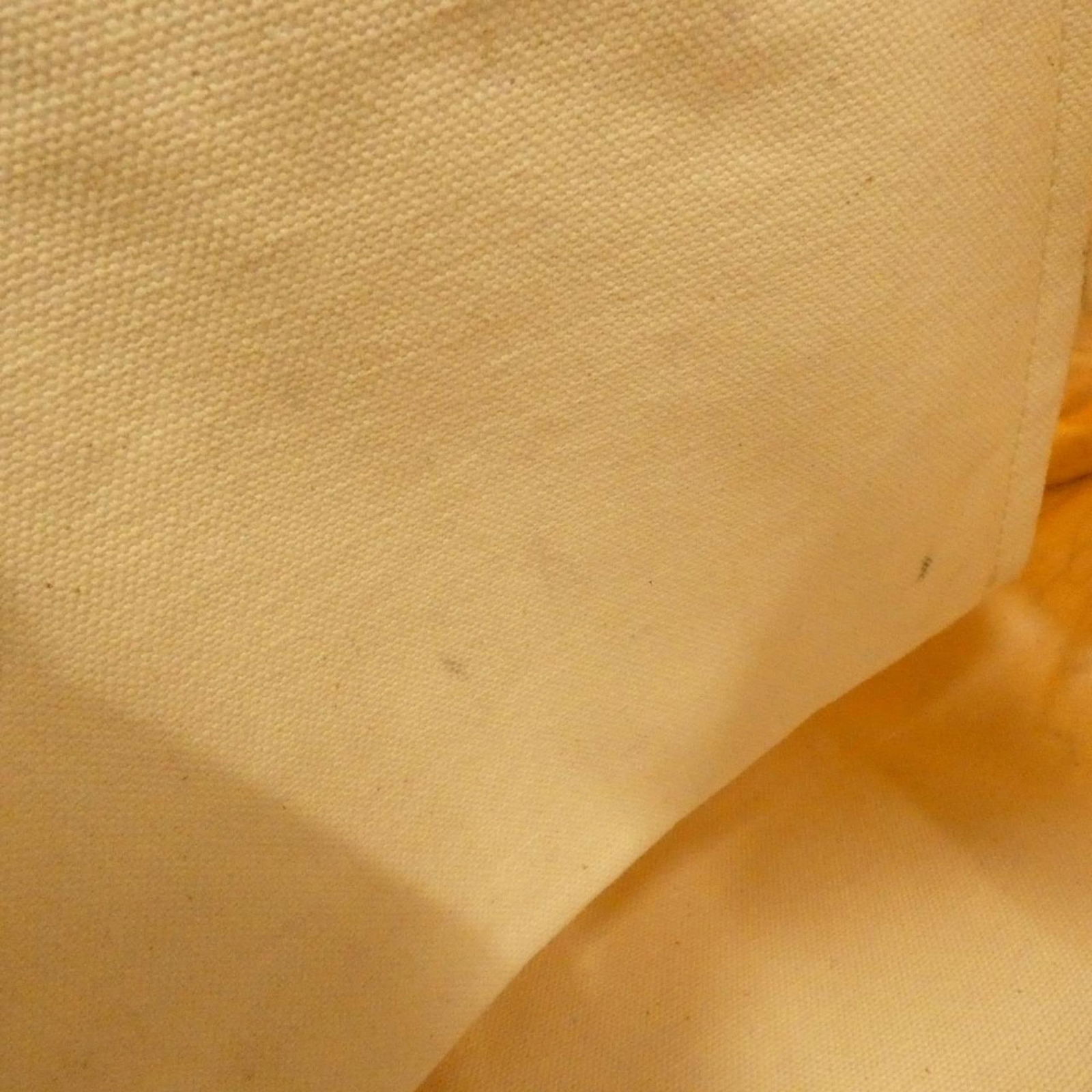 Canvas Loewe Handbag - 9