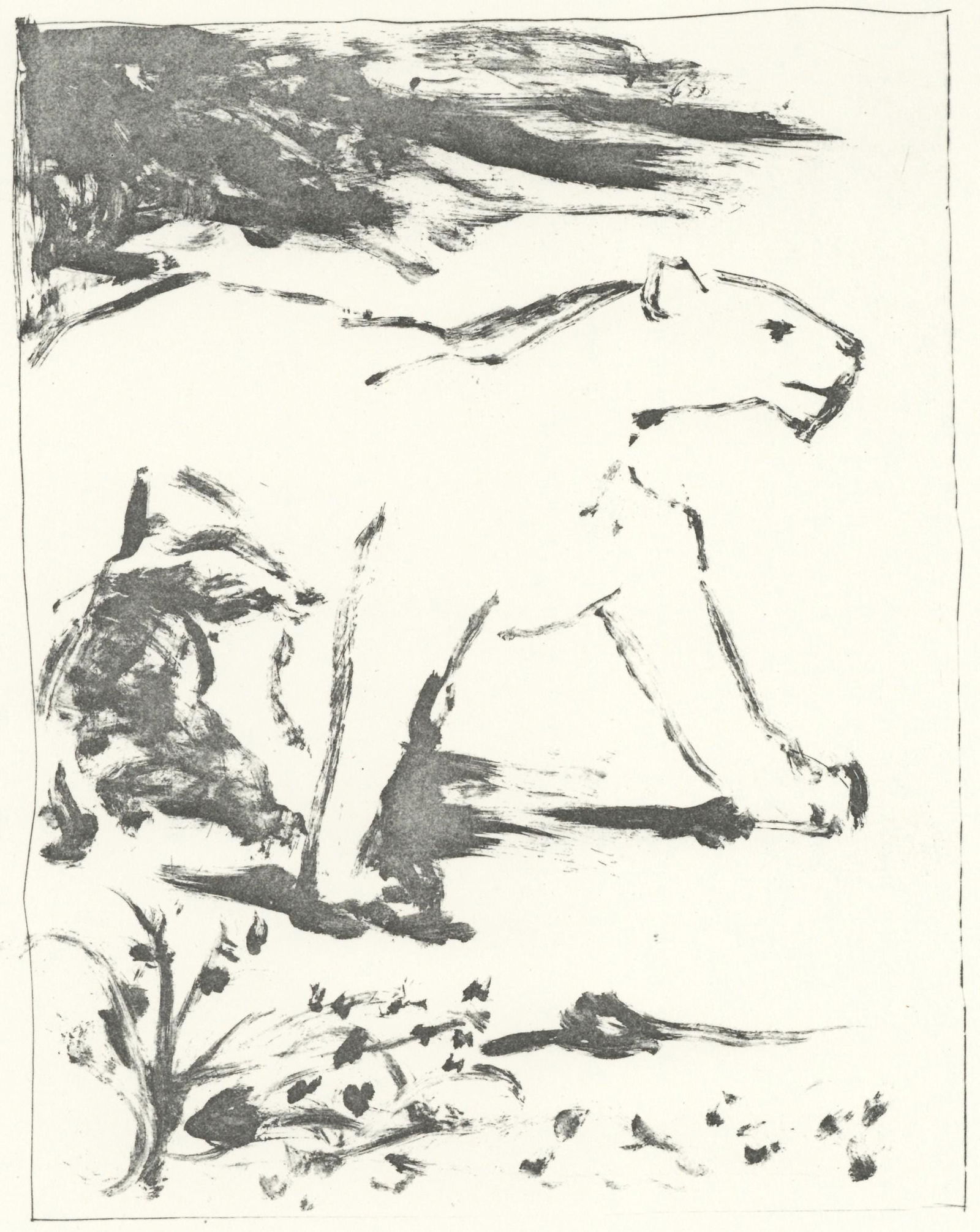 Lithograph - Pablo Picasso - La Lionne (The Lioness) (Orozco p.82) - Histoire naturelle: Lithograph - Pablo Picasso - La Lionne (The Lioness) (Orozco p.82) - Histoire naturelle This listing features Lithograph - Pablo Picasso - La Lionne (The Lioness) (Orozco p.82) - Histoire naturelle. I