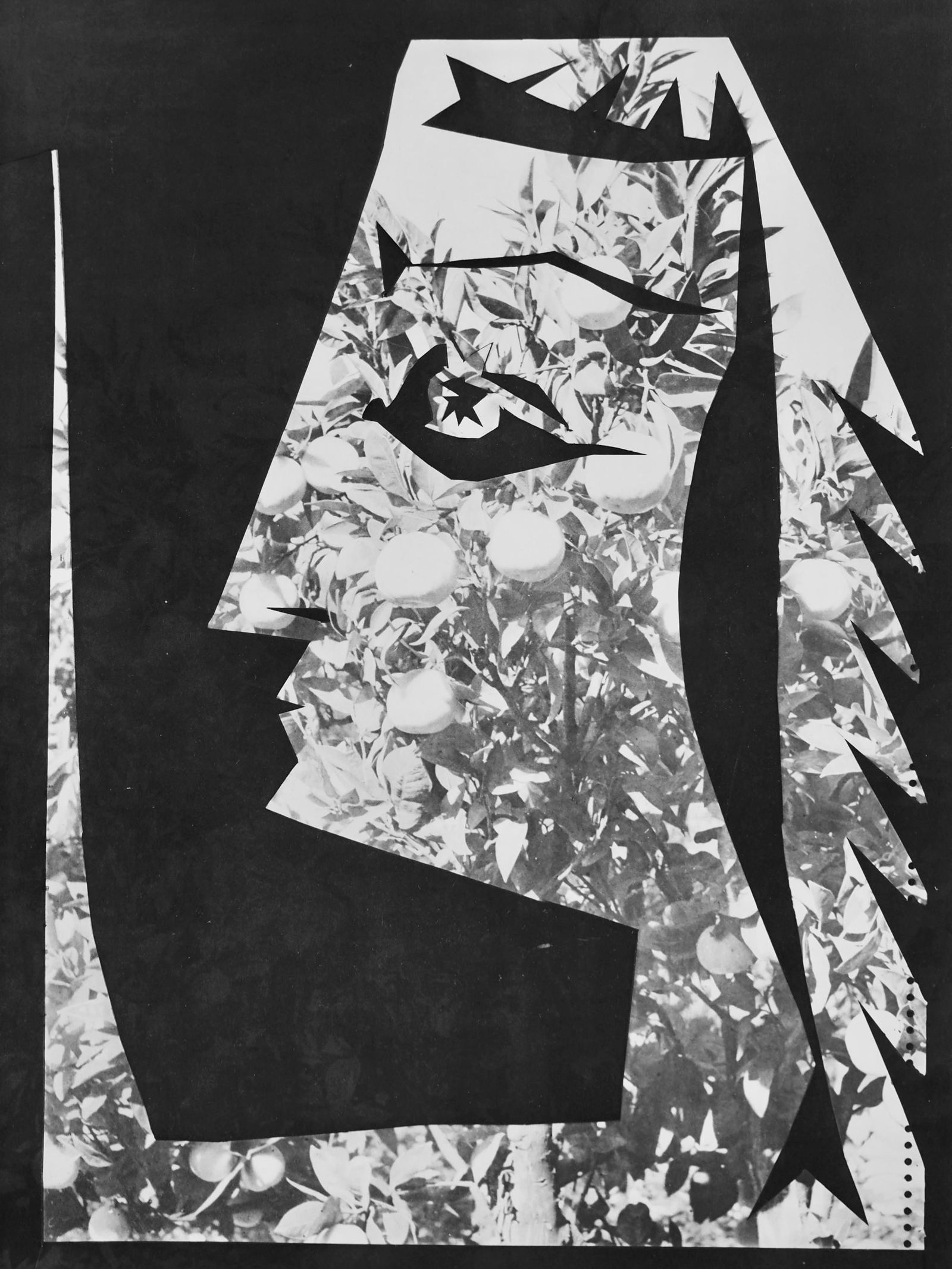 Lithograph - Pablo Picasso - Andr Villers - Jacqueline aux fruits (Cramer 115) - Diurnes -: Lithograph - Pablo Picasso - Andr Villers - Jacqueline aux fruits (Cramer 115) - Diurnes - Dcoupages et Photographies This listing features Lithograph - Pablo Picasso - Andr Villers - Jacqueline aux f